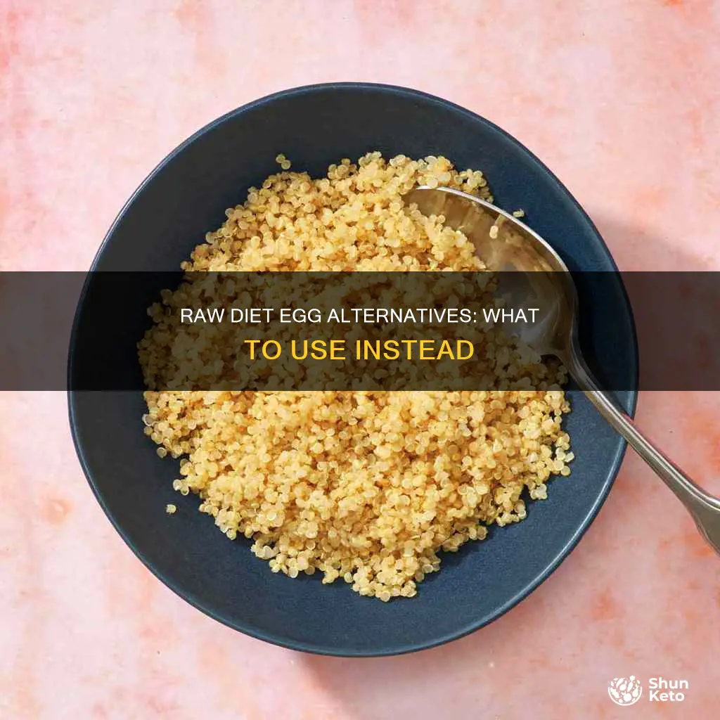 what to use on a raw diet instead of eggs