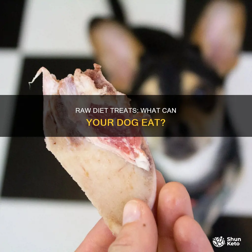 what treats to feed dog on raw diet
