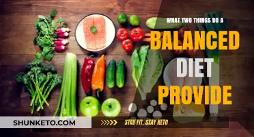 Nutrition Basics: Balanced Diet, Healthy Body