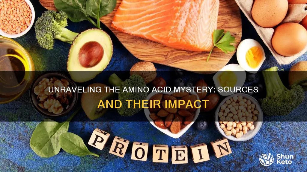 what type of amino acid that come from your diet