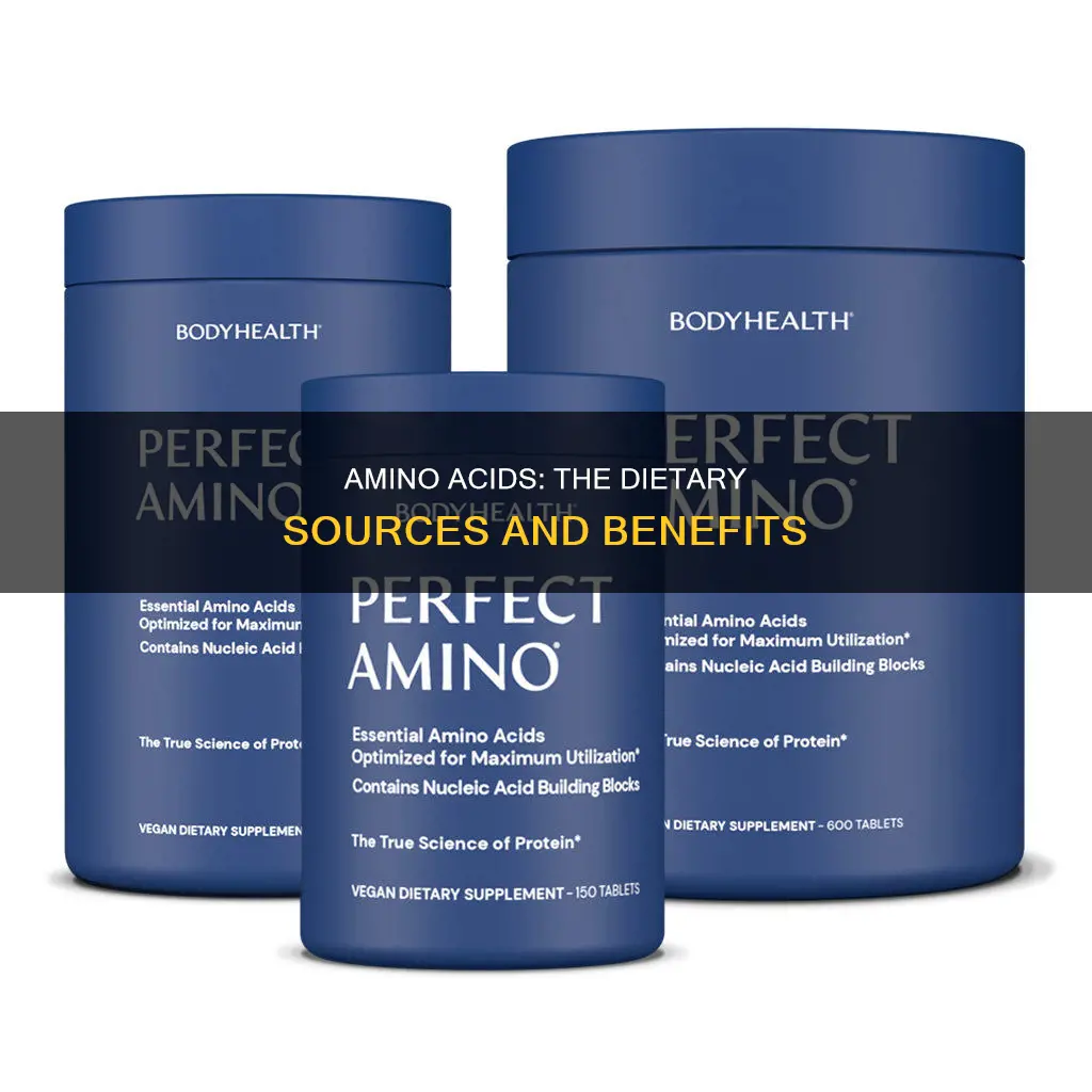 what type of amino acid that come from your diet