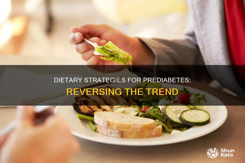 what type of diet are for prediabetes