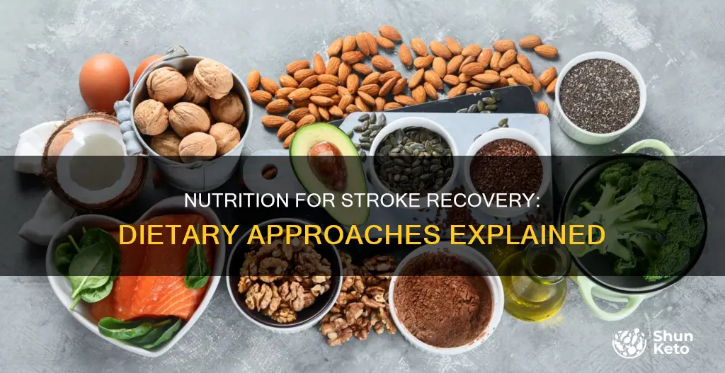 what type of diet are stroke patients on