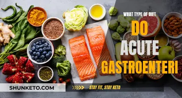 Acute Gastroenteritis: Navigating Dietary Choices for a Speedy Recovery