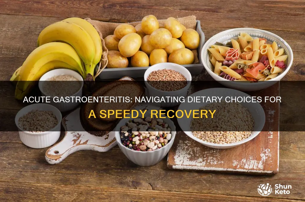 what type of diet do acute gastroenteritis