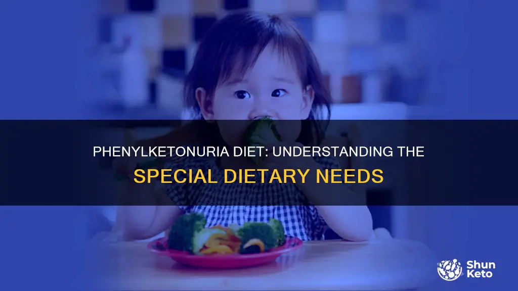 what type of diet does a phenylketonuria have