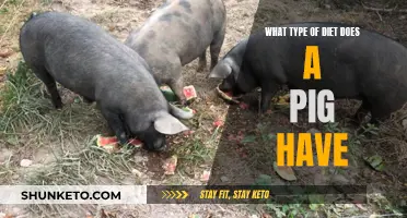 Pigs' Palate: Exploring Their Natural Dietary Habits