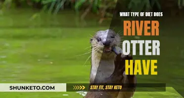 River Otters: Omnivorous Diet Specialists