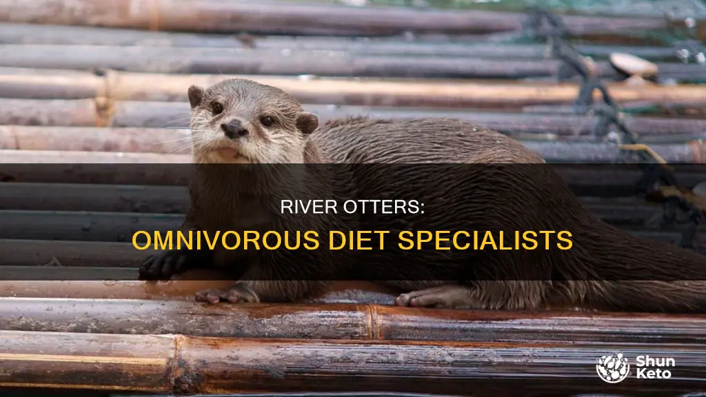 what type of diet does river otter have