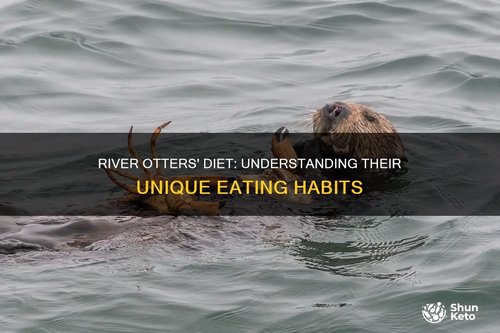 what type of diet does river otter have