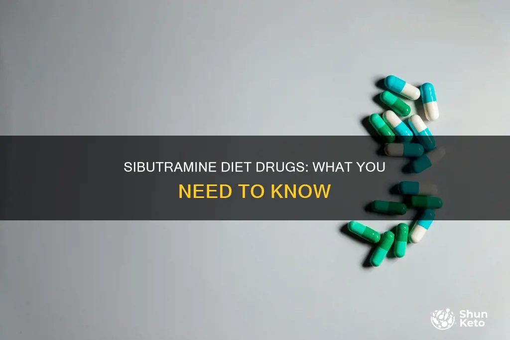 what type of diet drug is sibutramine