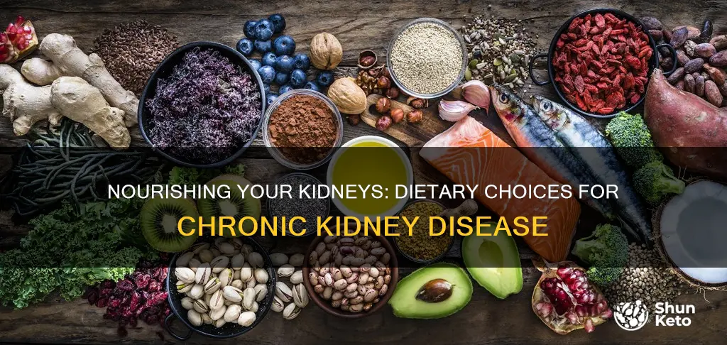 what type of diet for chronic kidney disease