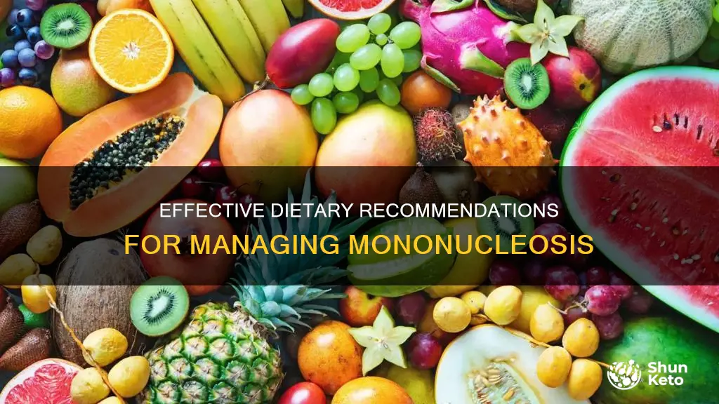 what type of diet for mono