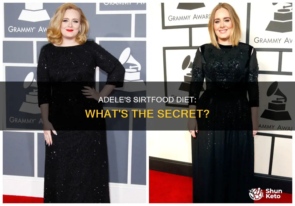what type of diet is adele on