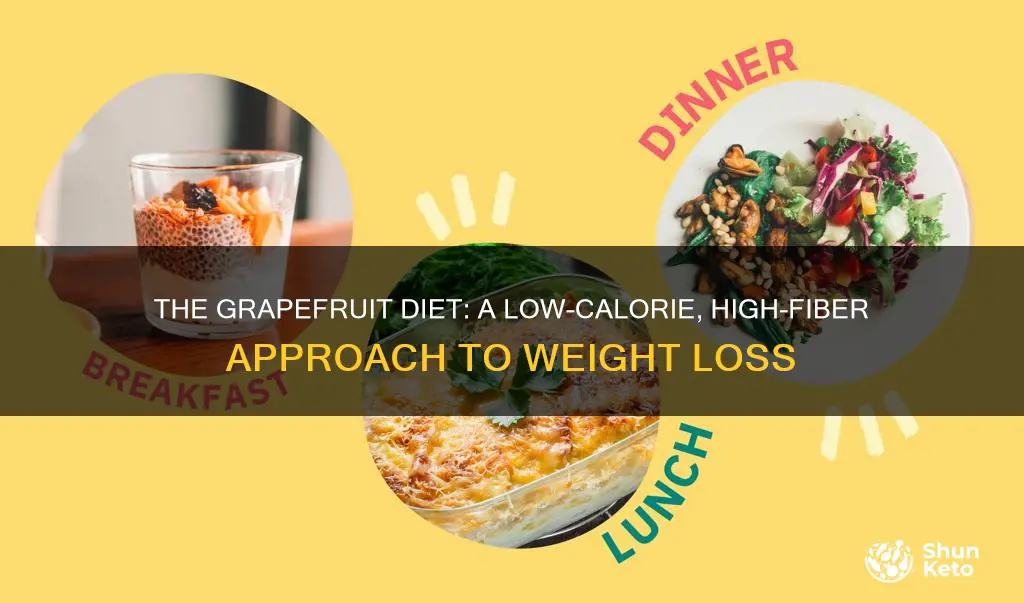 what type of diet is the grapefruit diet