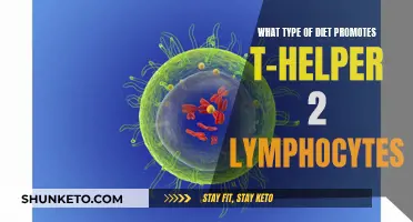 Dietary Tips to Boost T-Helper 2 Lymphocytes