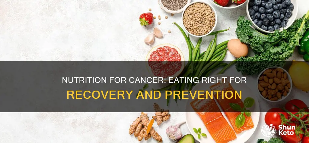 what type of diet should you have for cancer