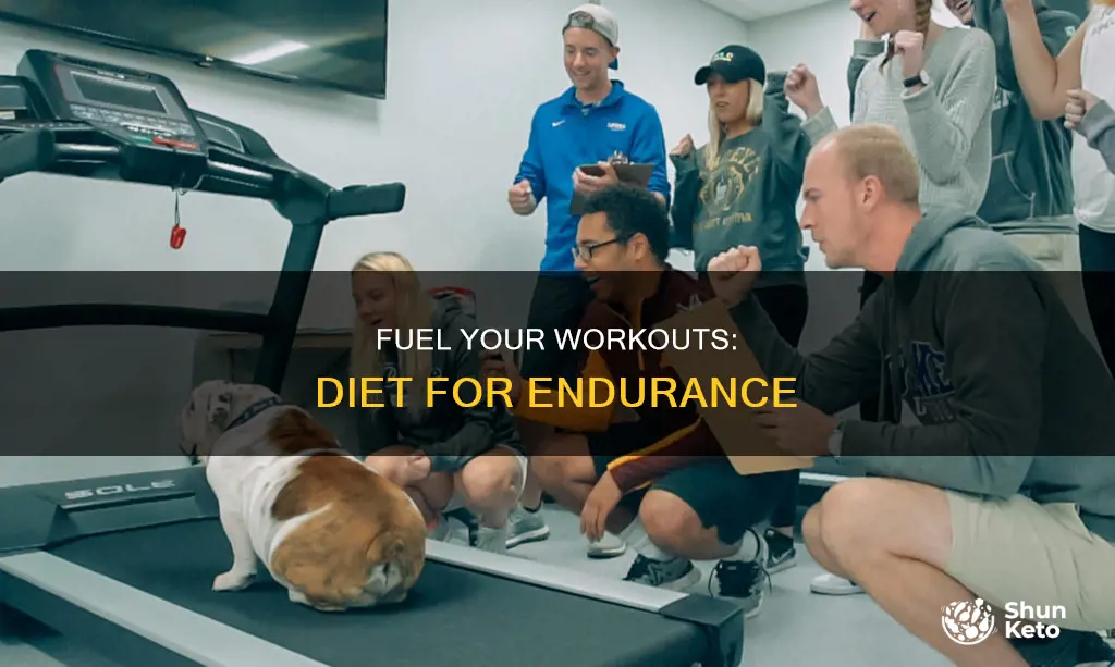 what type of diet will allow individuals to exercise longer