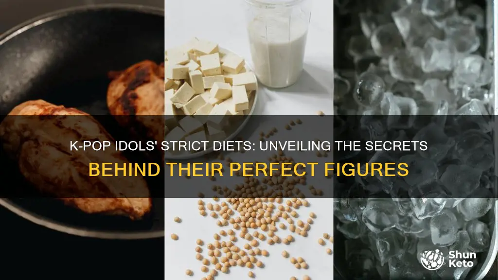 what type of diets do kpop idols have