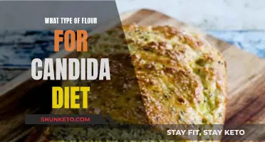 Flour Alternatives for Candida Diet: Healthy Baking Options