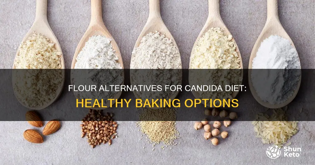 what type of flour for candida diet