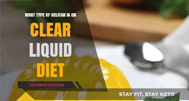 Clear Liquid Diets: What Gelatin is Allowed?
