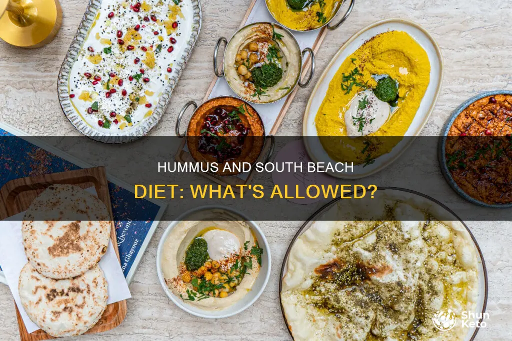 what type of hummus south beach diet