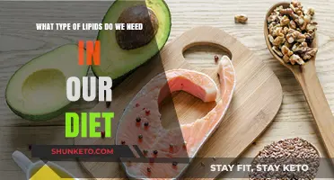 Lipid Diversity: What Lipids Should We Eat?
