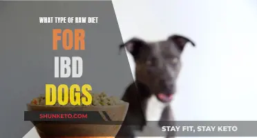 IBD Dogs: Raw Diet Options and Recommendations
