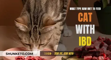 IBD Cats: Raw Diet Choices for Optimal Health