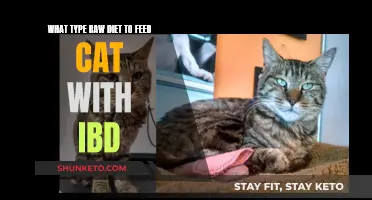 IBD in Cats: The Best Raw Diet Options