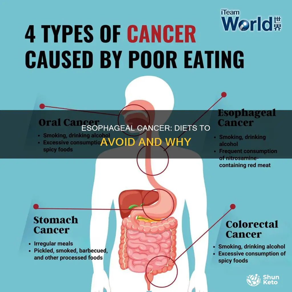 what types of diets lead to esophageal cancer