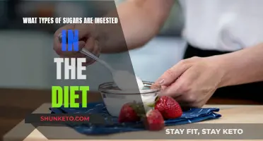 Sugar Intake: Understanding Different Types in Our Diet