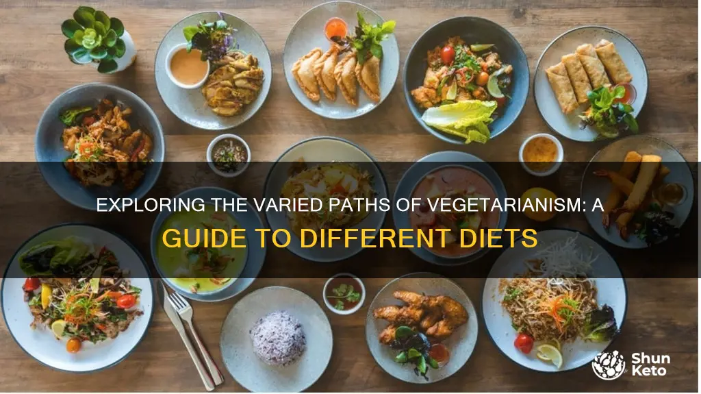 what types of vegitarian diets are there