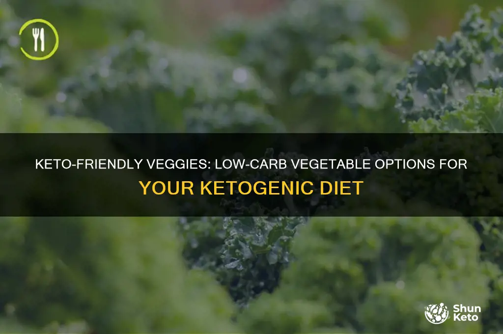 what veg on keto diet
