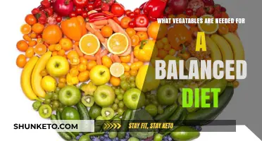 Eat a Rainbow: Veggies for a Balanced Diet