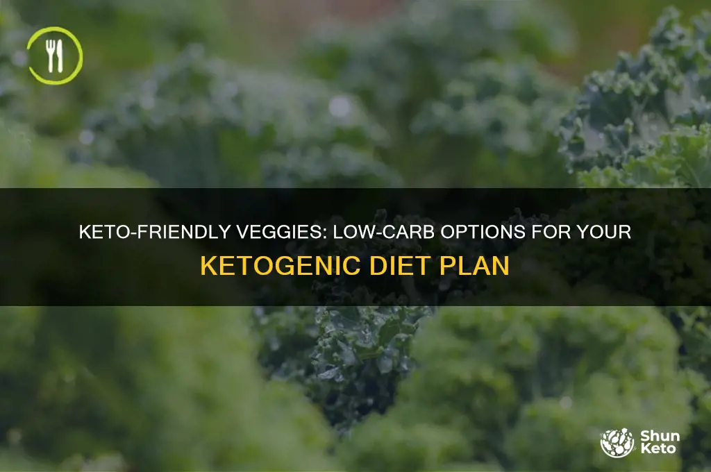 what vegatables can you hav eon a keto diet