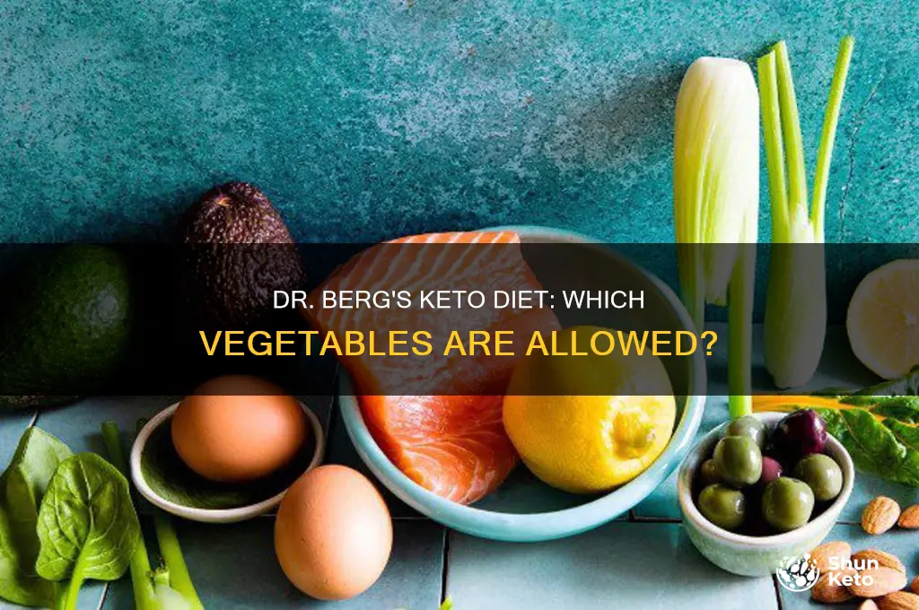 what vegetables can i eat on dr bergs keto diet