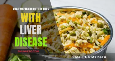Vegetarian Diet Options for Dogs with Liver Disease