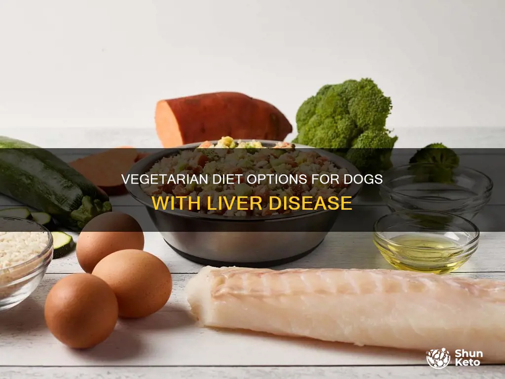 what vegetarian diet for dogs with liver disease