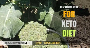 Keto-Friendly Veggies: Low-Carb Options to Fuel Your Diet