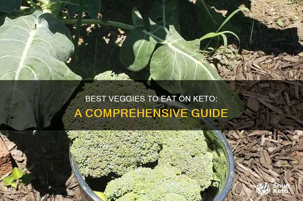 what veggies can i eat on a keto diet