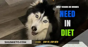 Huskies' Diet: The Best Veggies for Your Dog's Health