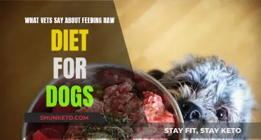 Vets Weigh in on Raw Dog Food Diets