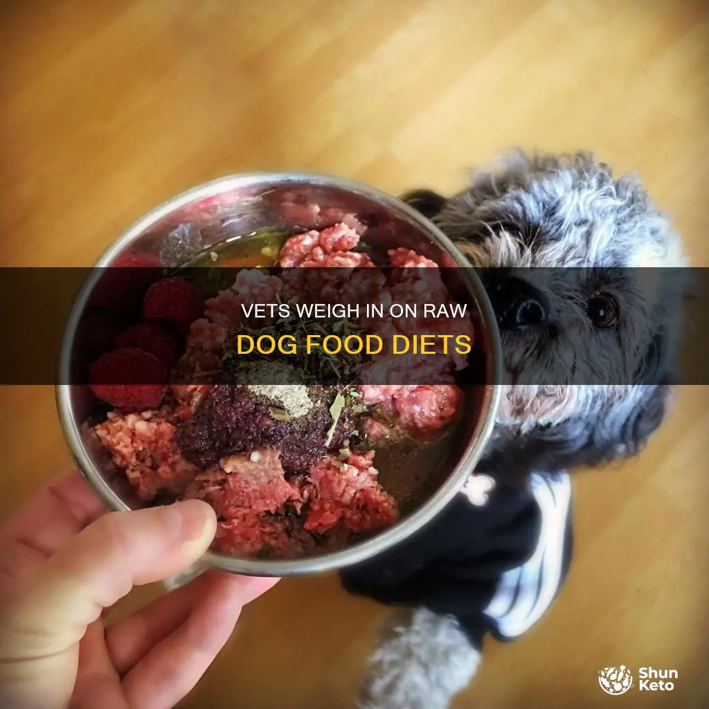 what vets say about feeding raw diet for dogs