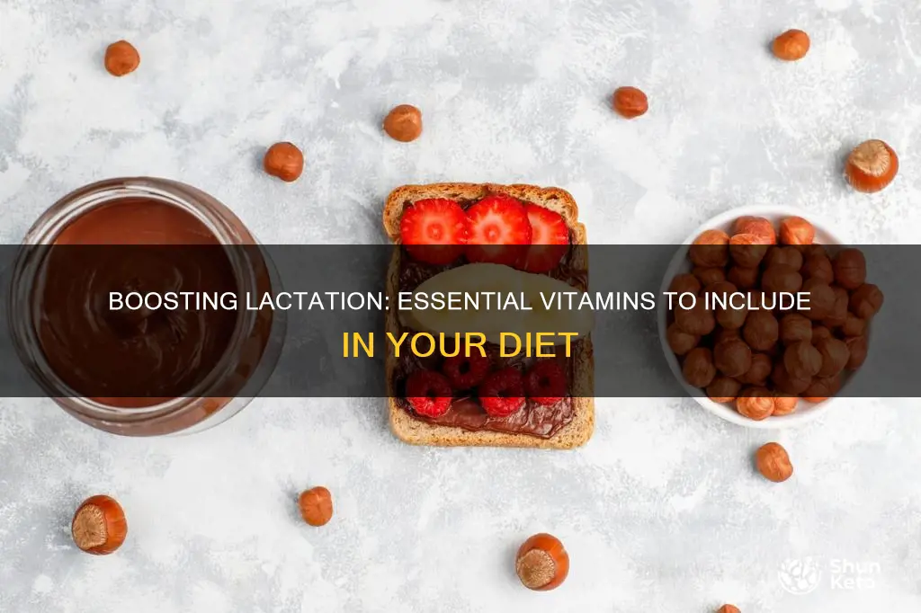 what vitamin should you increase in your diet during lactation