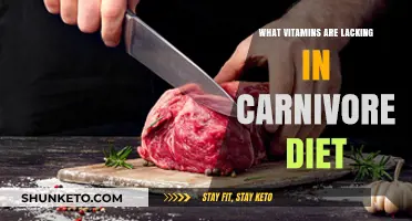 Vitamins Missing in Carnivore Diet