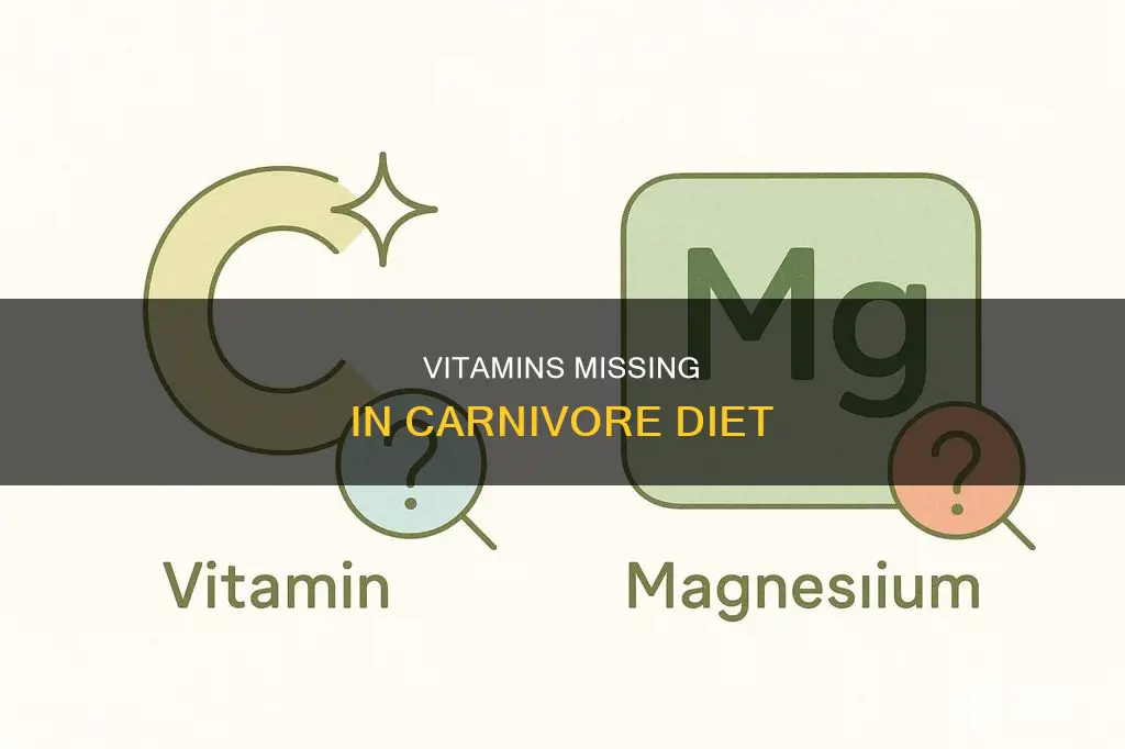 what vitamins are lacking in carnivore diet