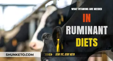 Ruminant Diets: Essential Vitamins for Healthy Growth