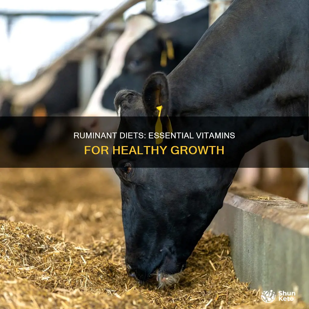 what vitamins are needed in ruminant diets